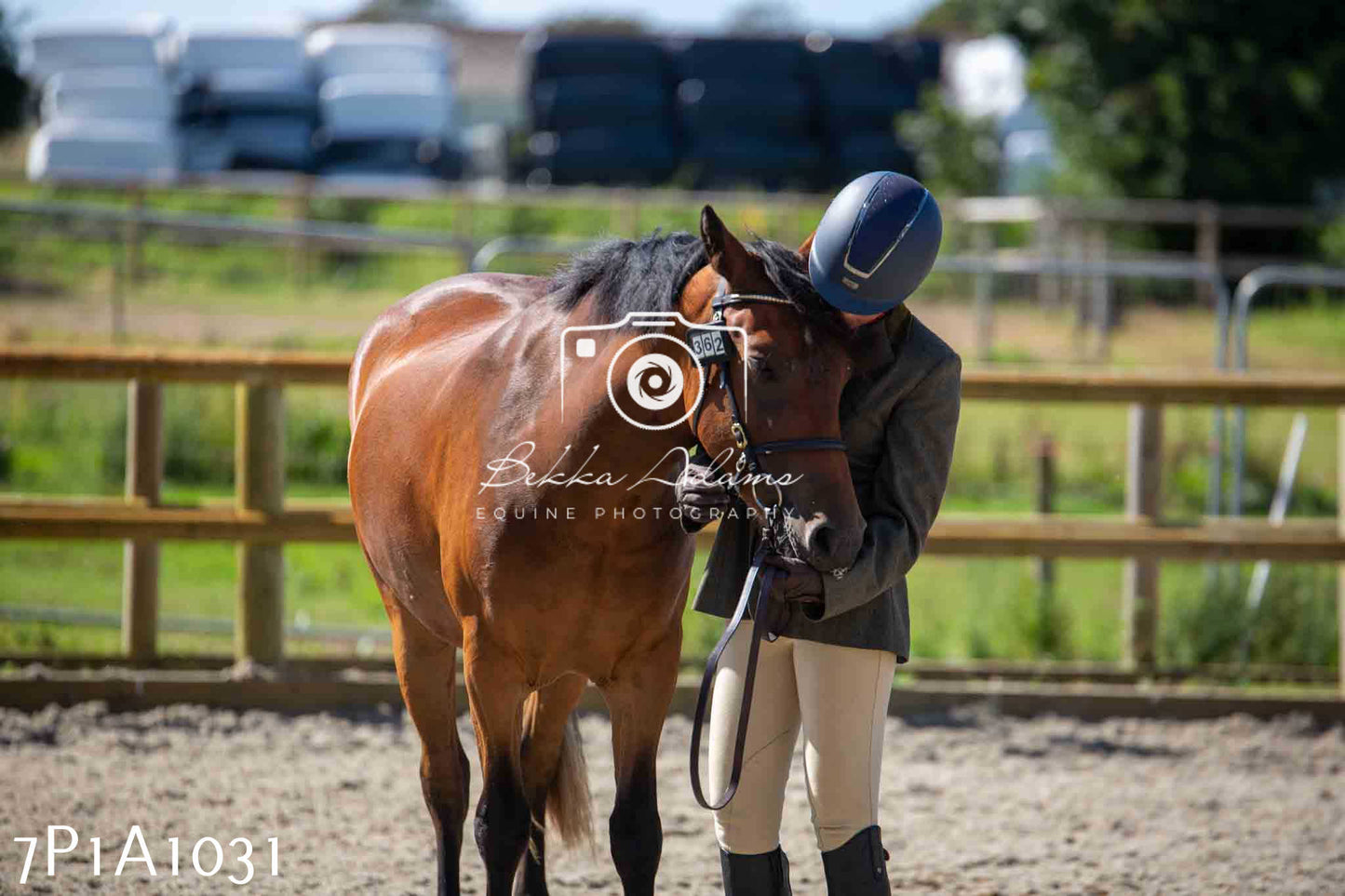 Home Farm Annual Show - Inhand Showing 19th August 2023