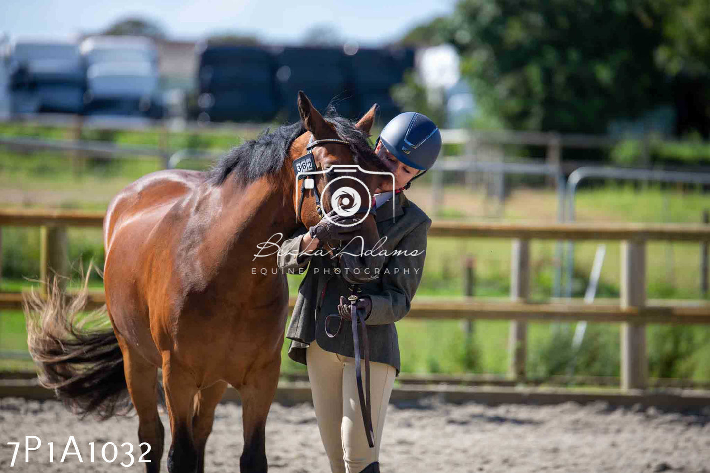 Home Farm Annual Show - Inhand Showing 19th August 2023