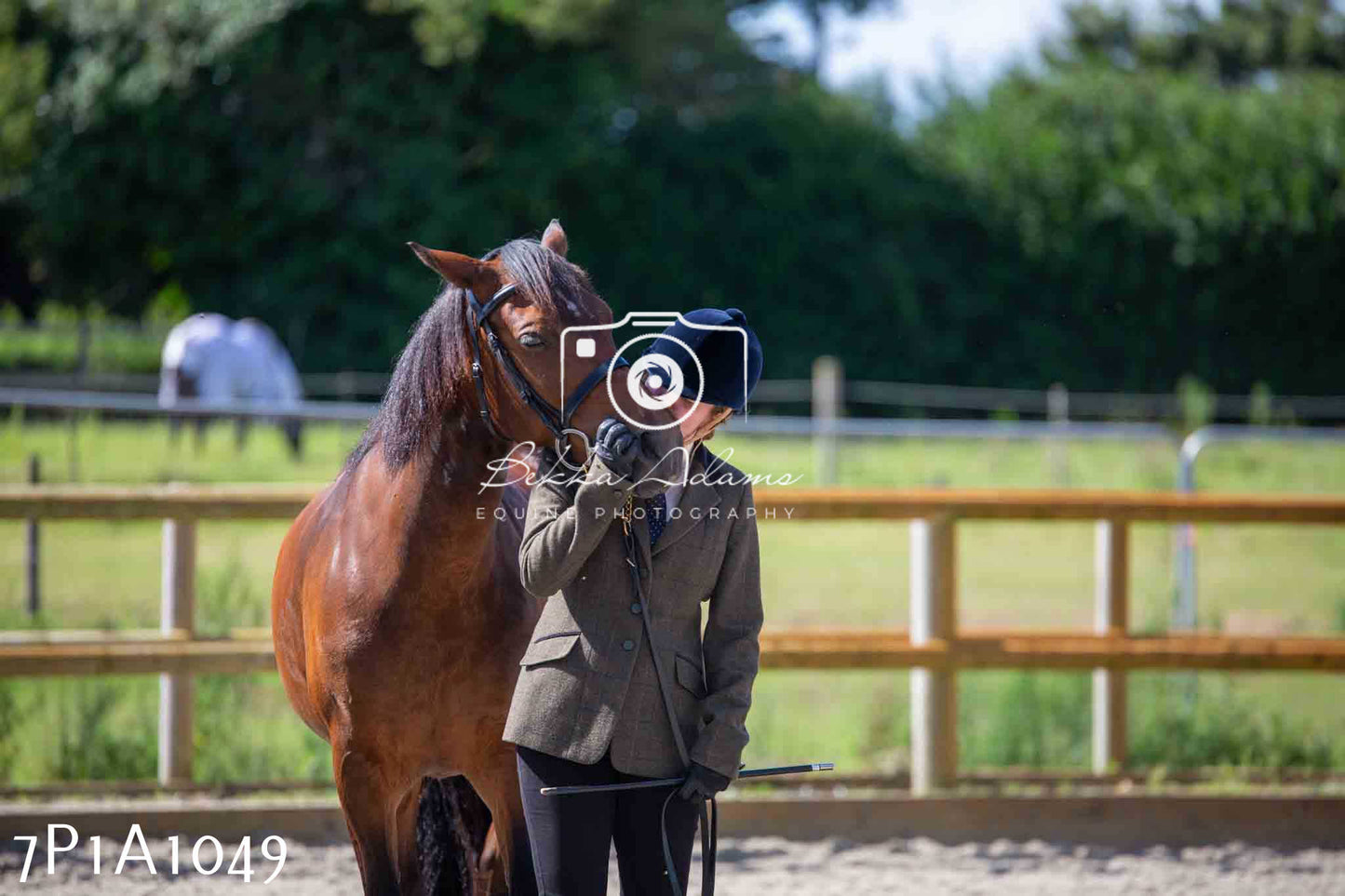 Home Farm Annual Show - Inhand Showing 19th August 2023