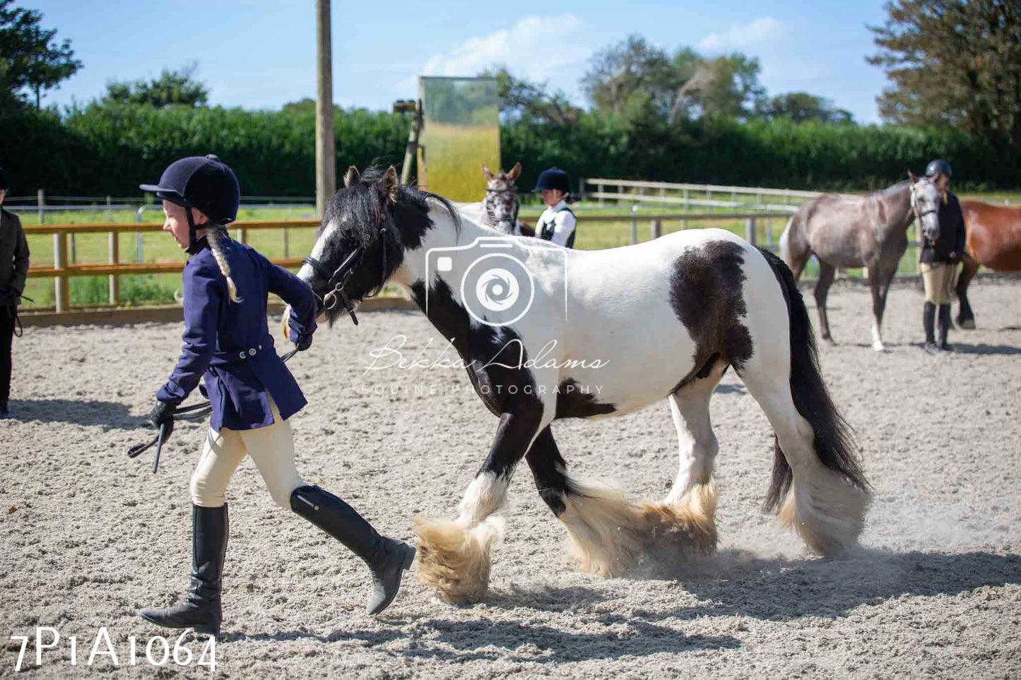 Home Farm Annual Show - Inhand Showing 19th August 2023