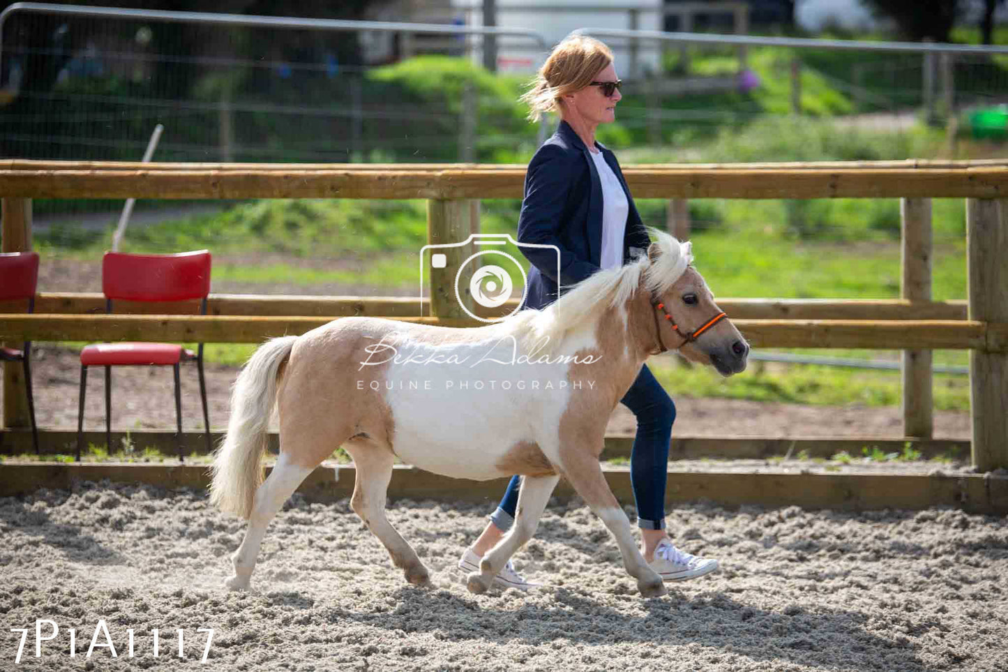 Home Farm Annual Show - Inhand Showing 19th August 2023