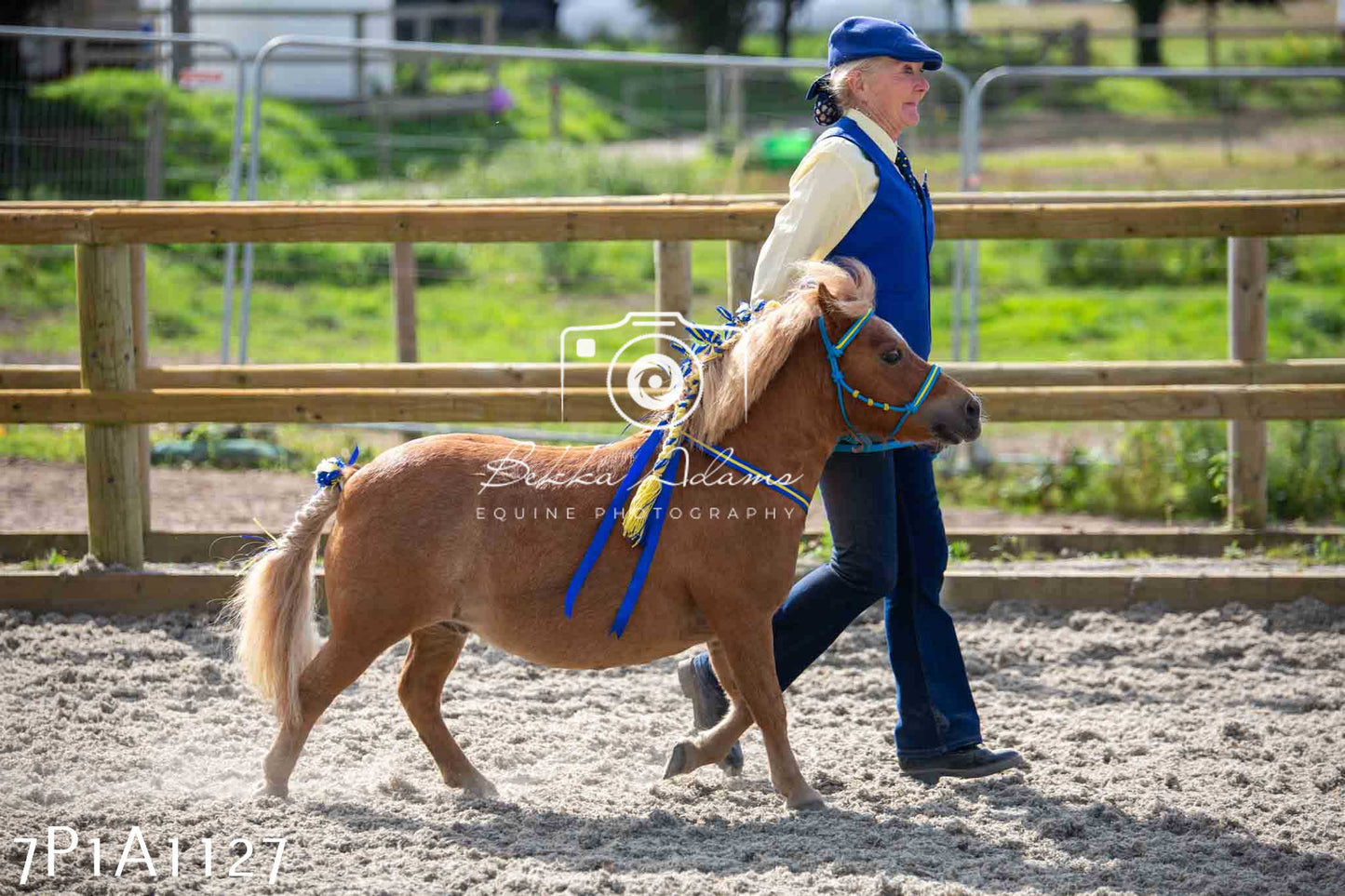 Home Farm Annual Show - Inhand Showing 19th August 2023