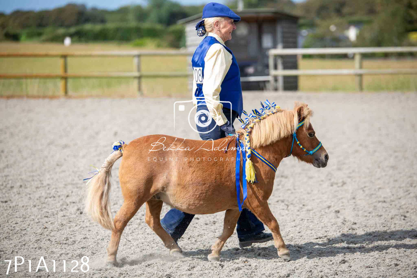 Home Farm Annual Show - Inhand Showing 19th August 2023