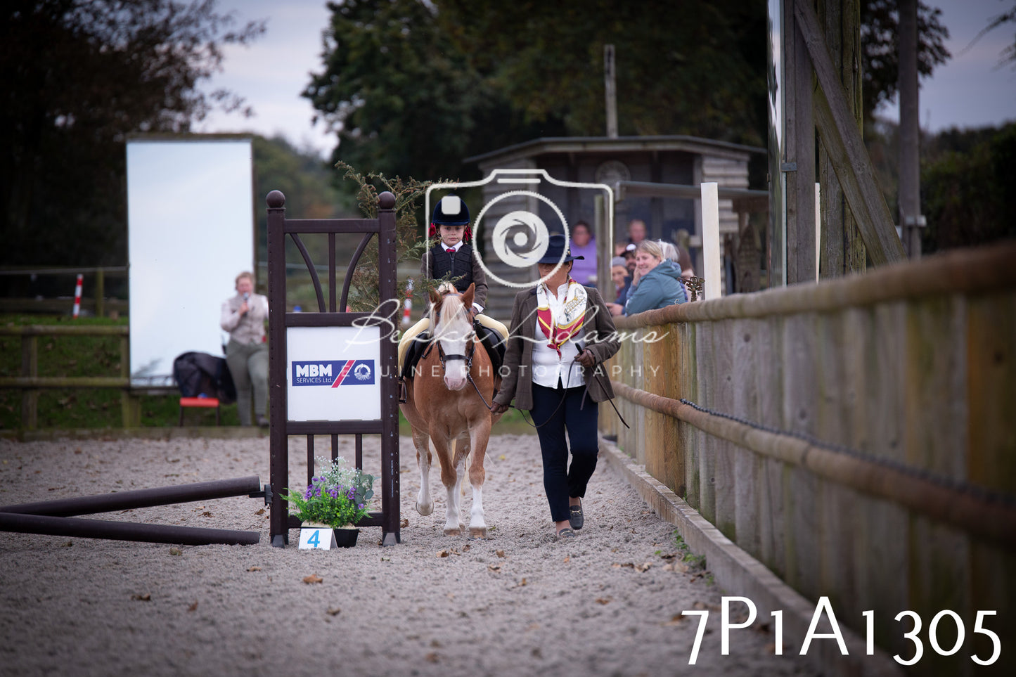 JHOYS 2025 - Showing - 27th September - Working Hunter
