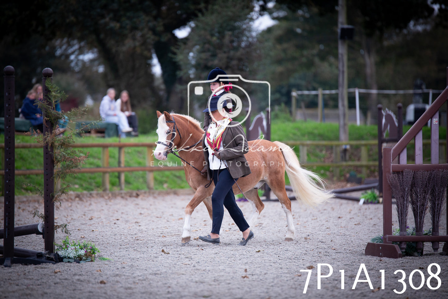 JHOYS 2025 - Showing - 27th September - Working Hunter