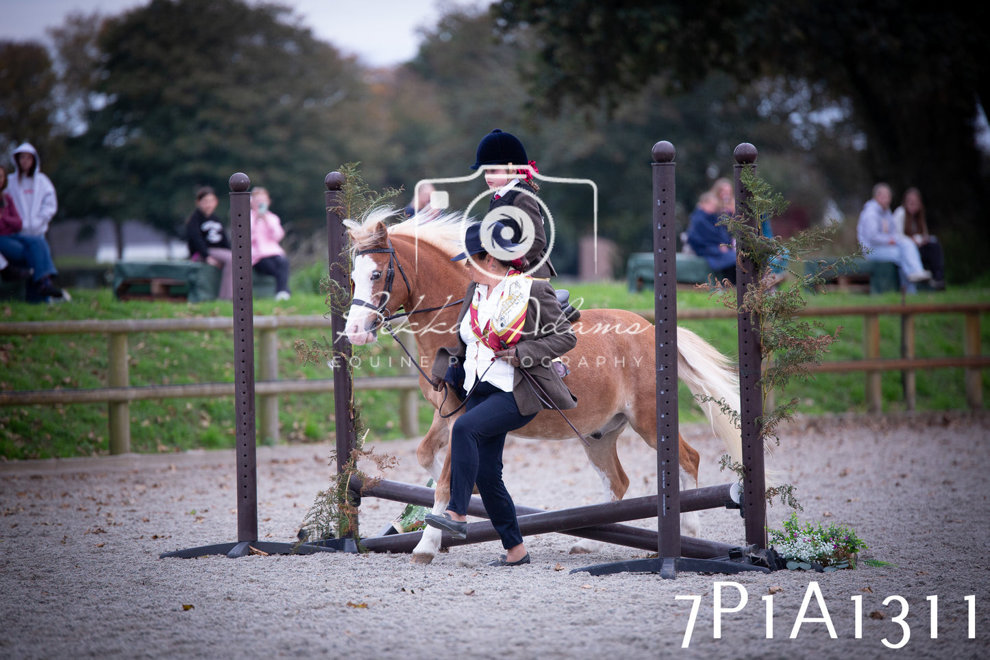 JHOYS 2025 - Showing - 27th September - Working Hunter