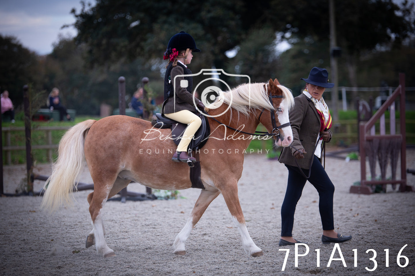 JHOYS 2025 - Showing - 27th September - Working Hunter