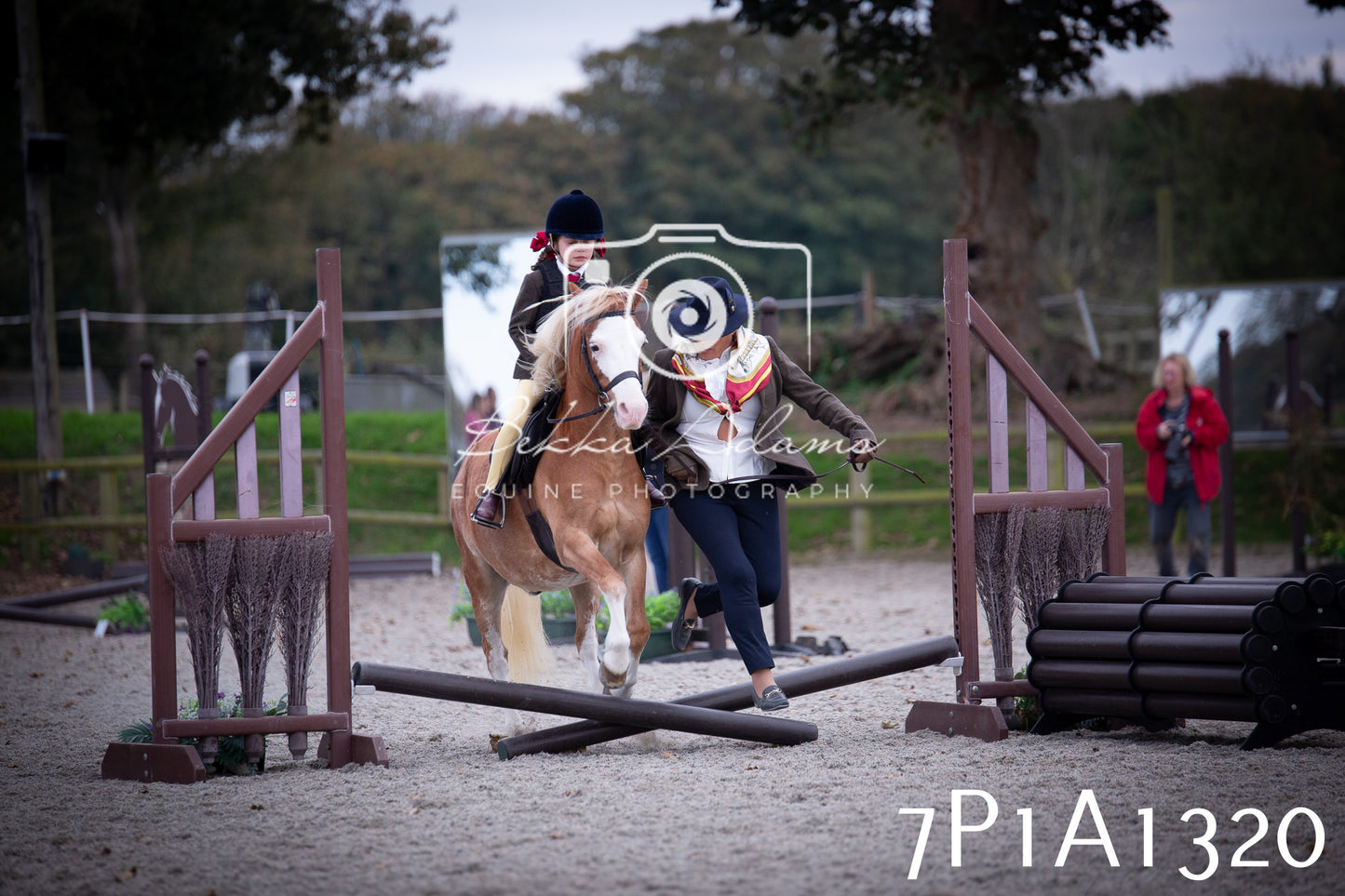 JHOYS 2025 - Showing - 27th September - Working Hunter