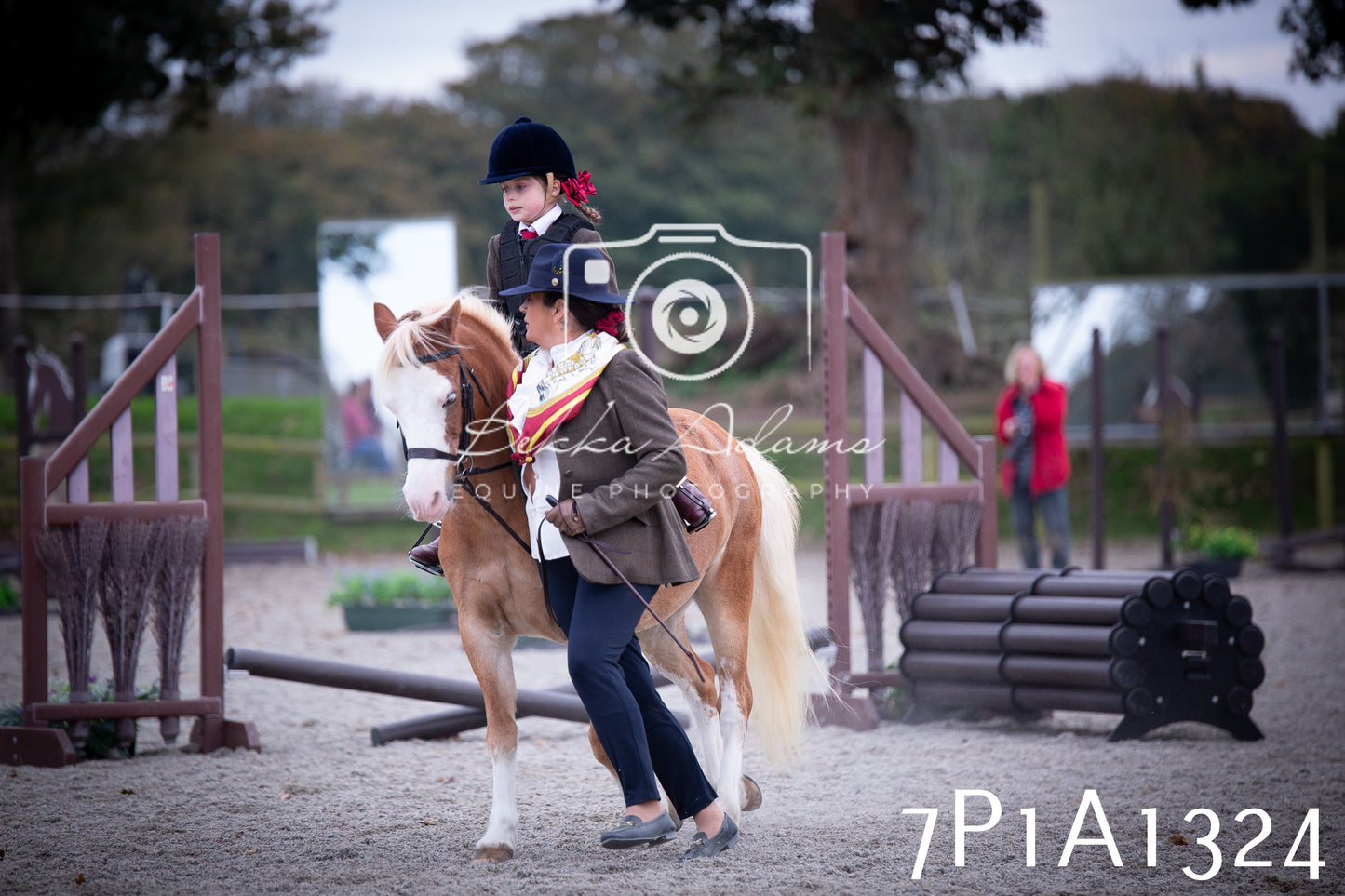 JHOYS 2025 - Showing - 27th September - Working Hunter