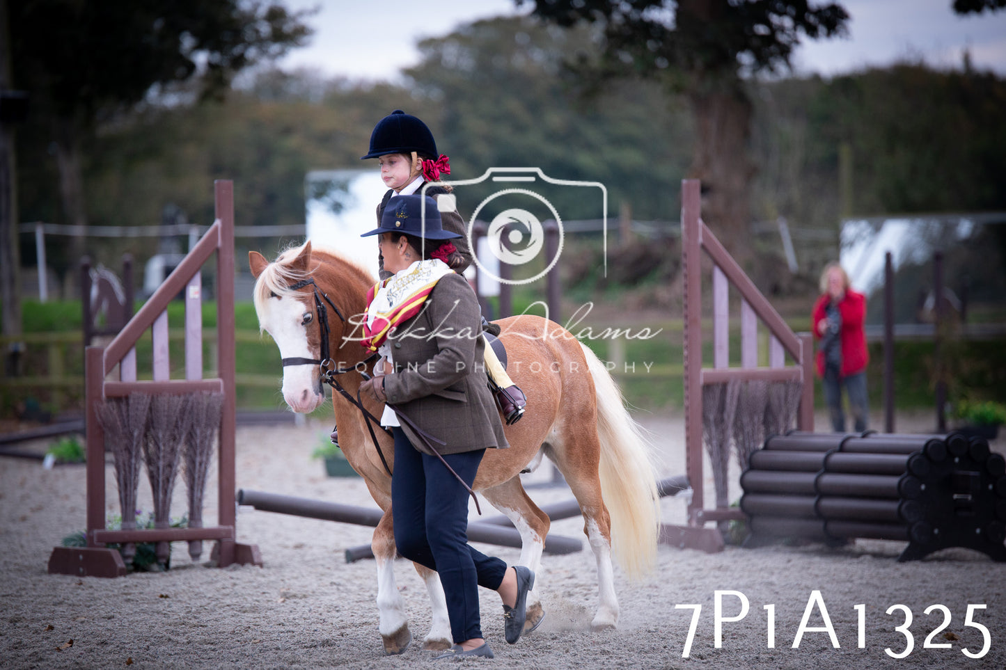 JHOYS 2025 - Showing - 27th September - Working Hunter