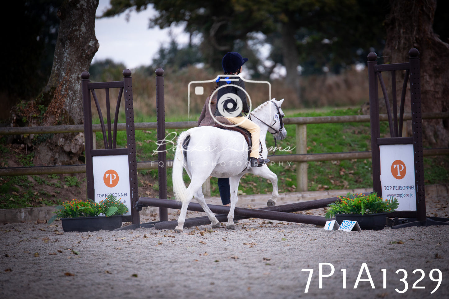 JHOYS 2025 - Showing - 27th September - Working Hunter