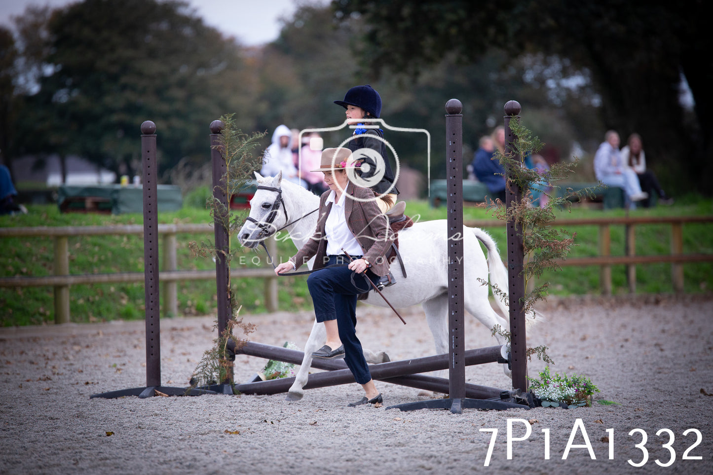 JHOYS 2025 - Showing - 27th September - Working Hunter