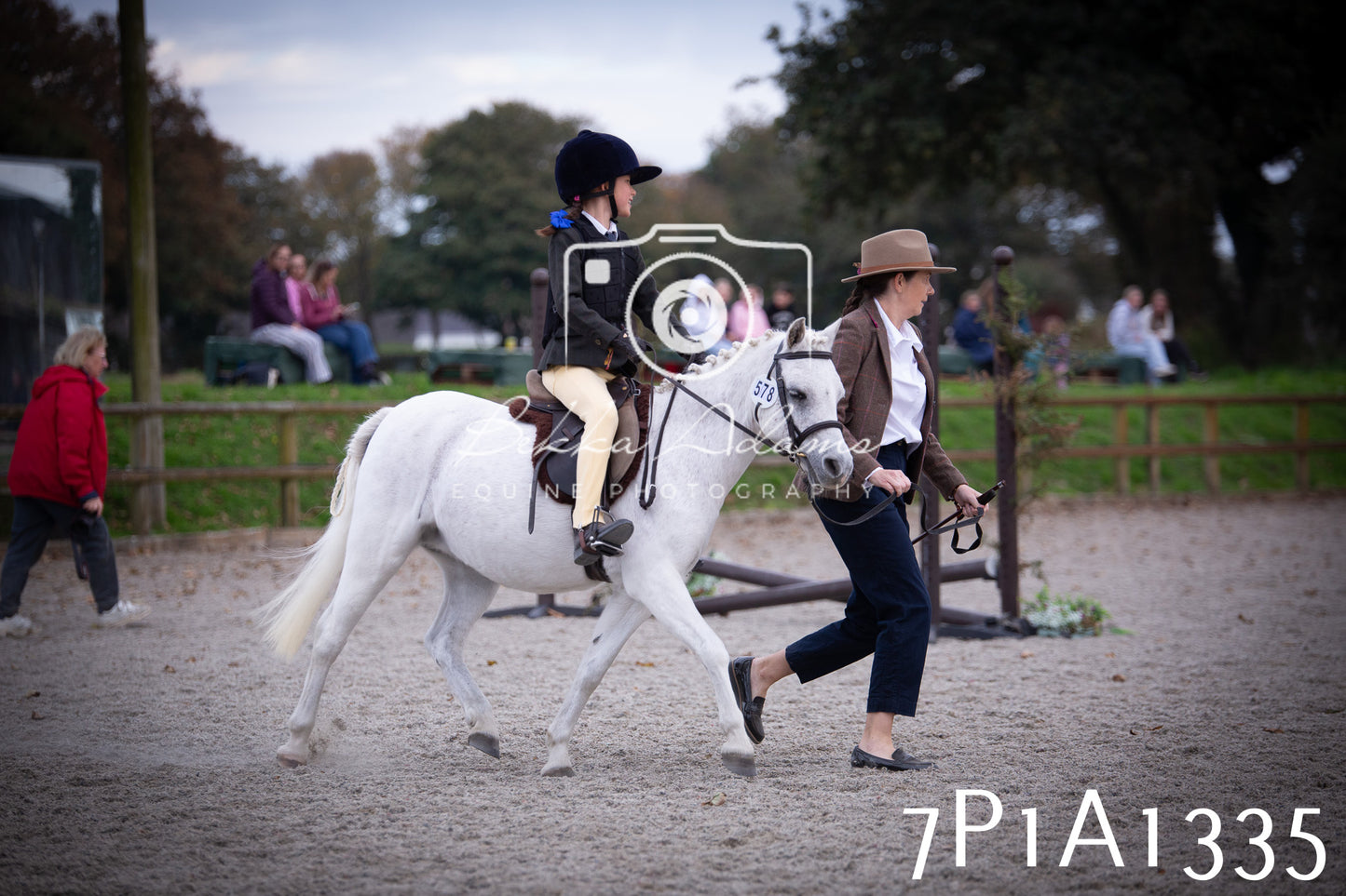 JHOYS 2025 - Showing - 27th September - Working Hunter