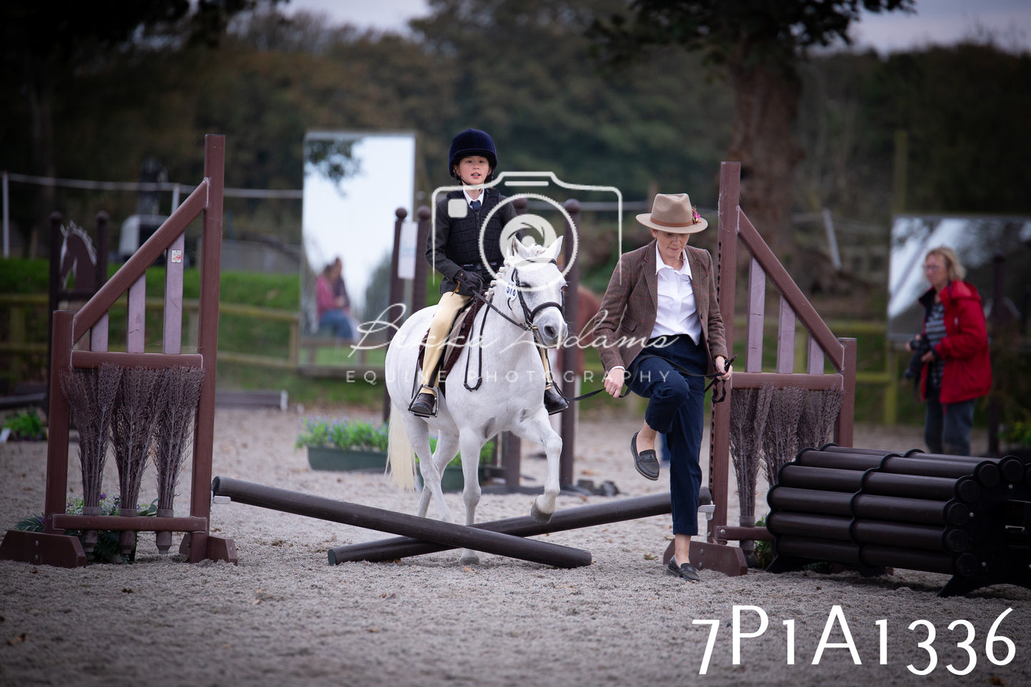JHOYS 2025 - Showing - 27th September - Working Hunter