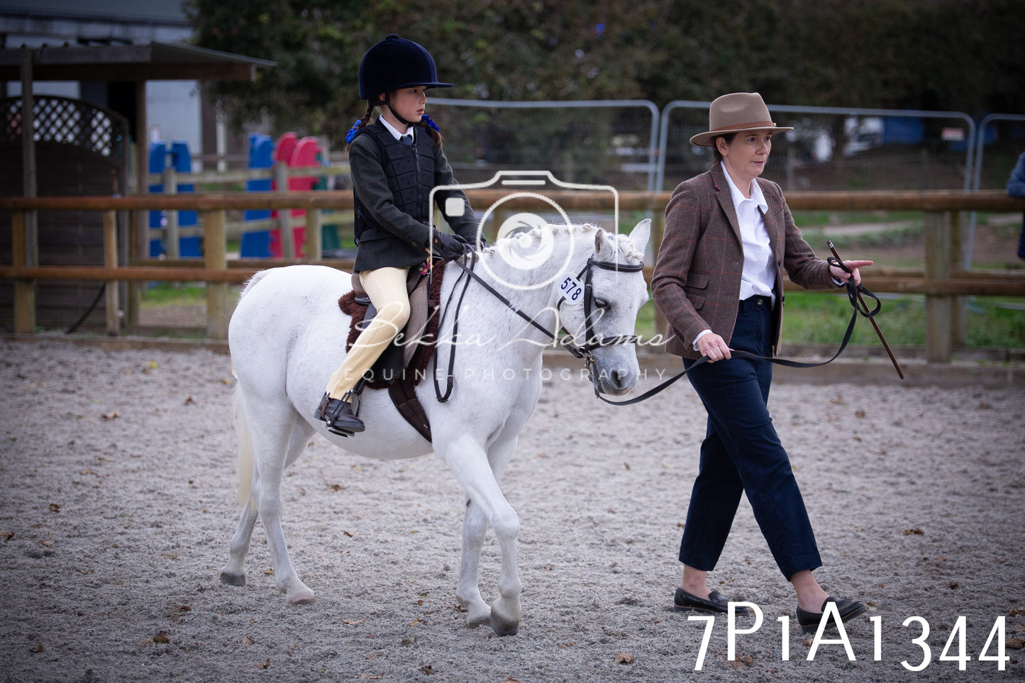 JHOYS 2025 - Showing - 27th September - Working Hunter