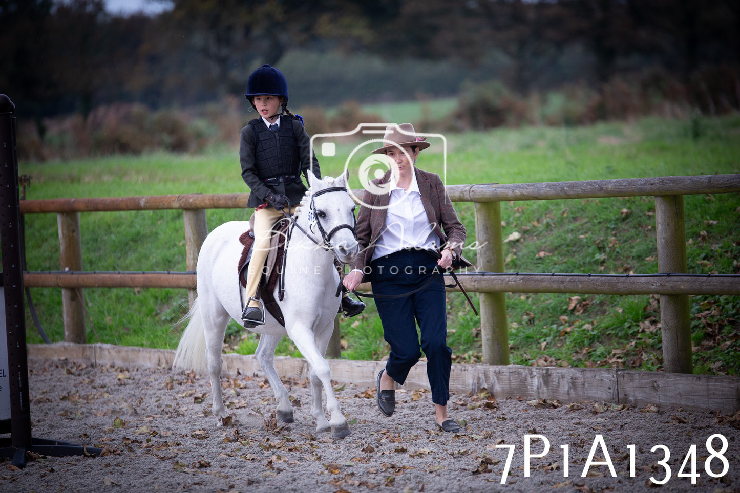 JHOYS 2025 - Showing - 27th September - Working Hunter