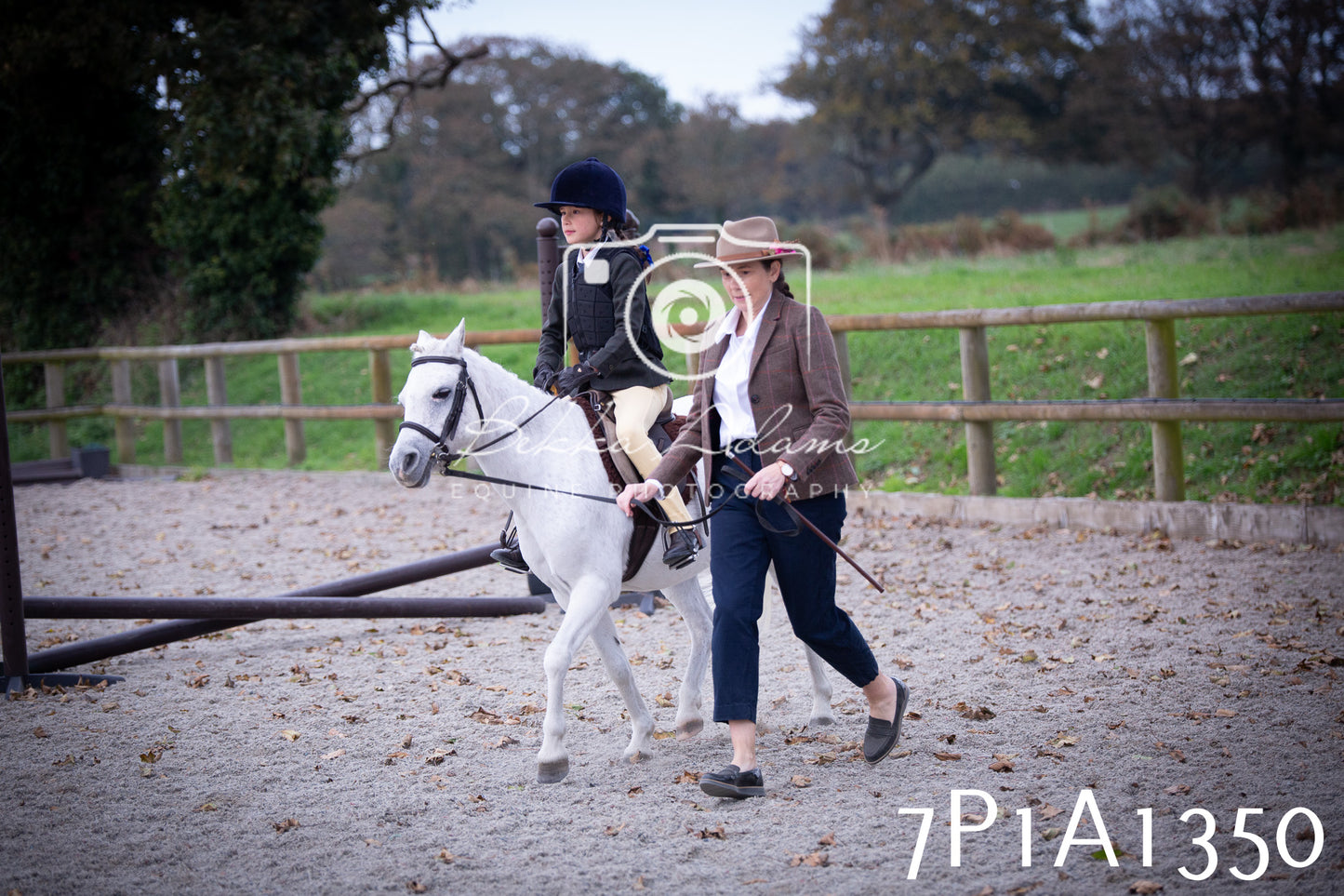 JHOYS 2025 - Showing - 27th September - Working Hunter