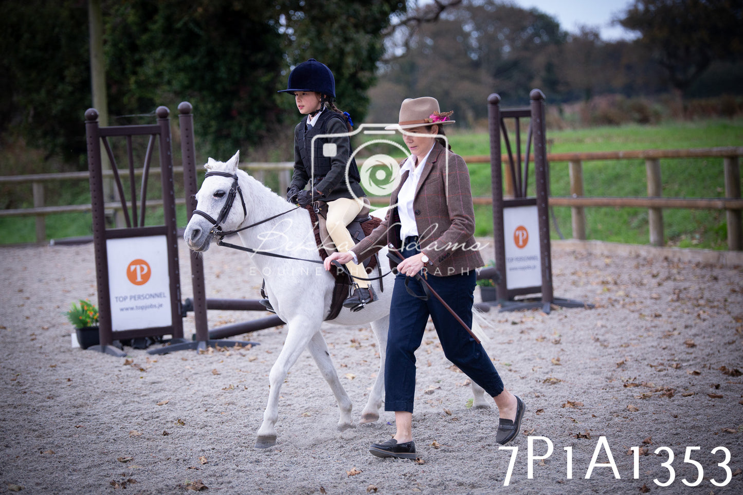 JHOYS 2025 - Showing - 27th September - Working Hunter