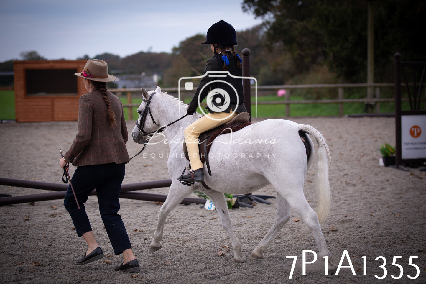 JHOYS 2025 - Showing - 27th September - Working Hunter