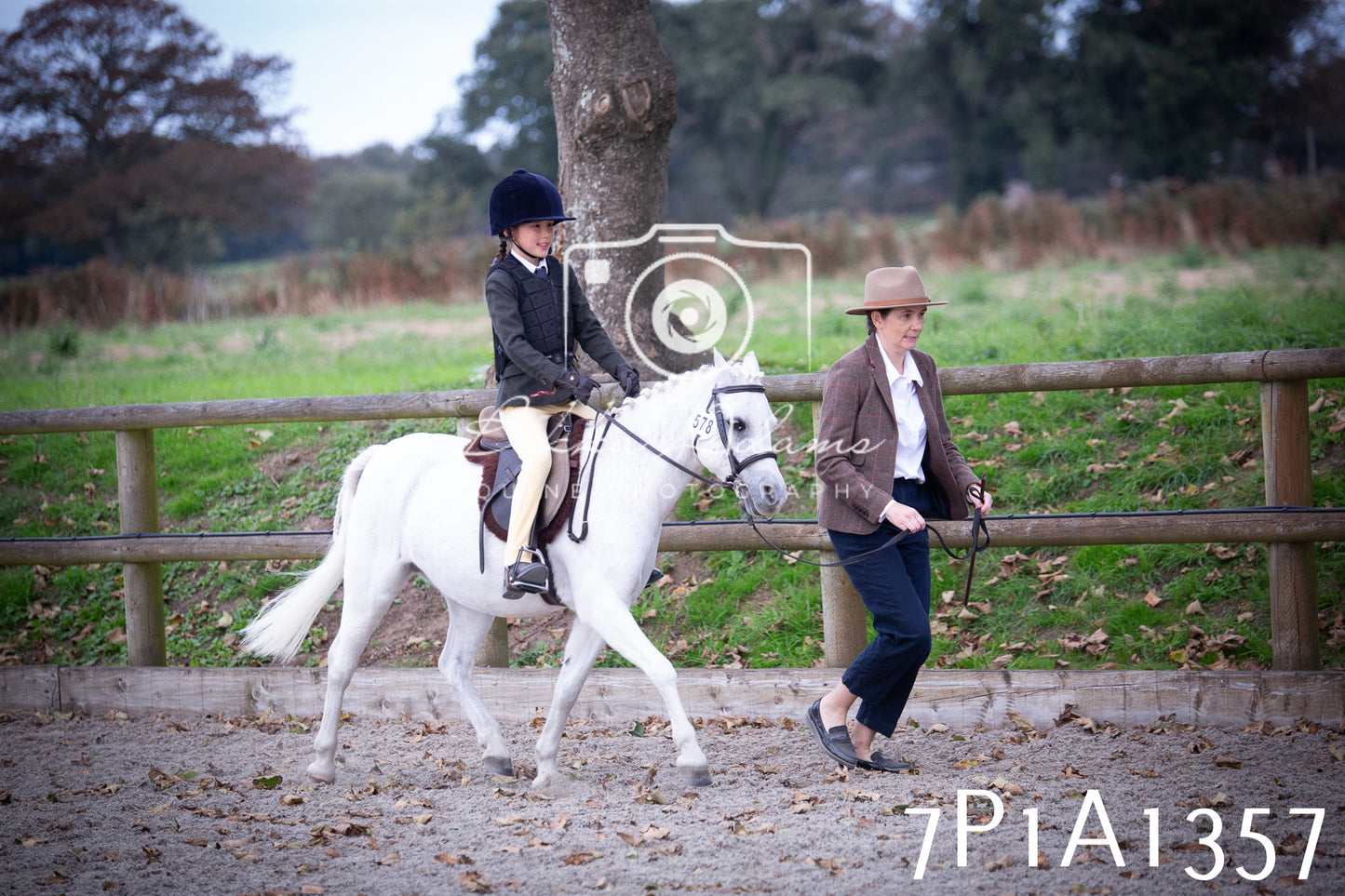 JHOYS 2025 - Showing - 27th September - Working Hunter