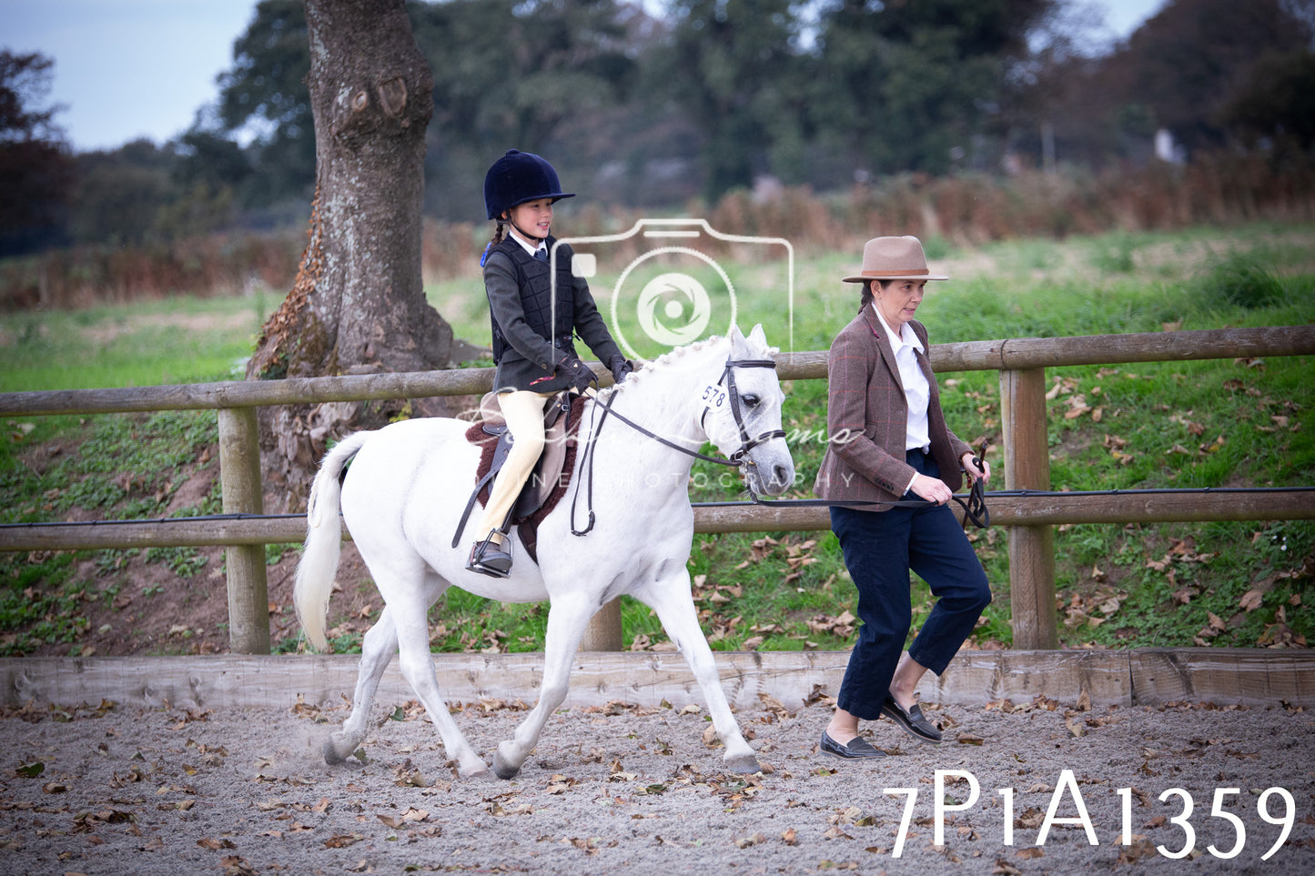 JHOYS 2025 - Showing - 27th September - Working Hunter