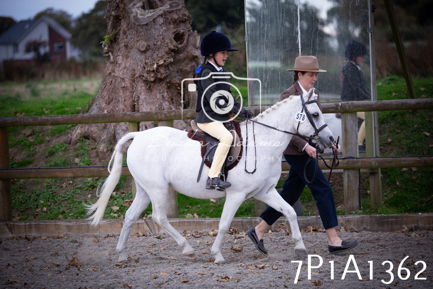 JHOYS 2025 - Showing - 27th September - Working Hunter