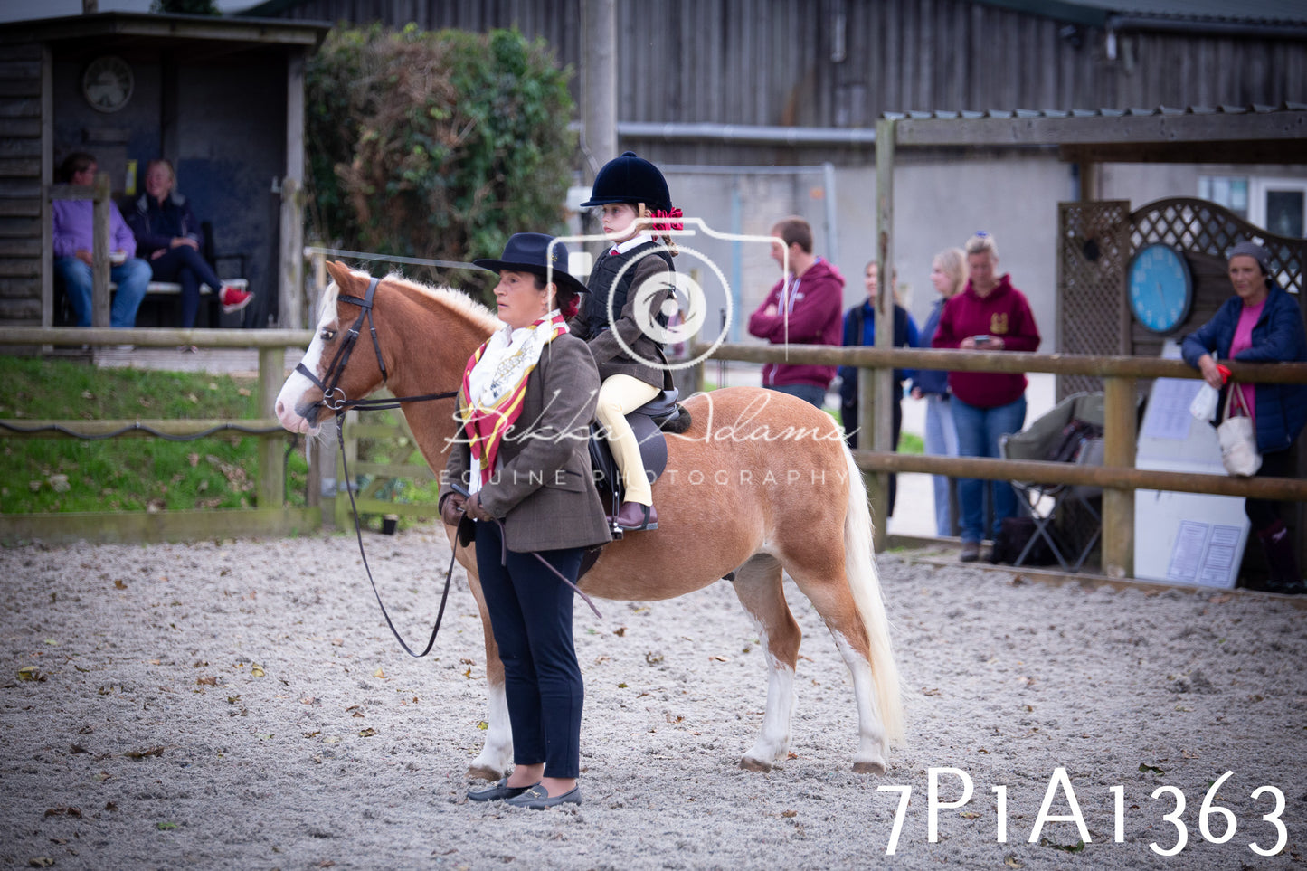 JHOYS 2025 - Showing - 27th September - Working Hunter