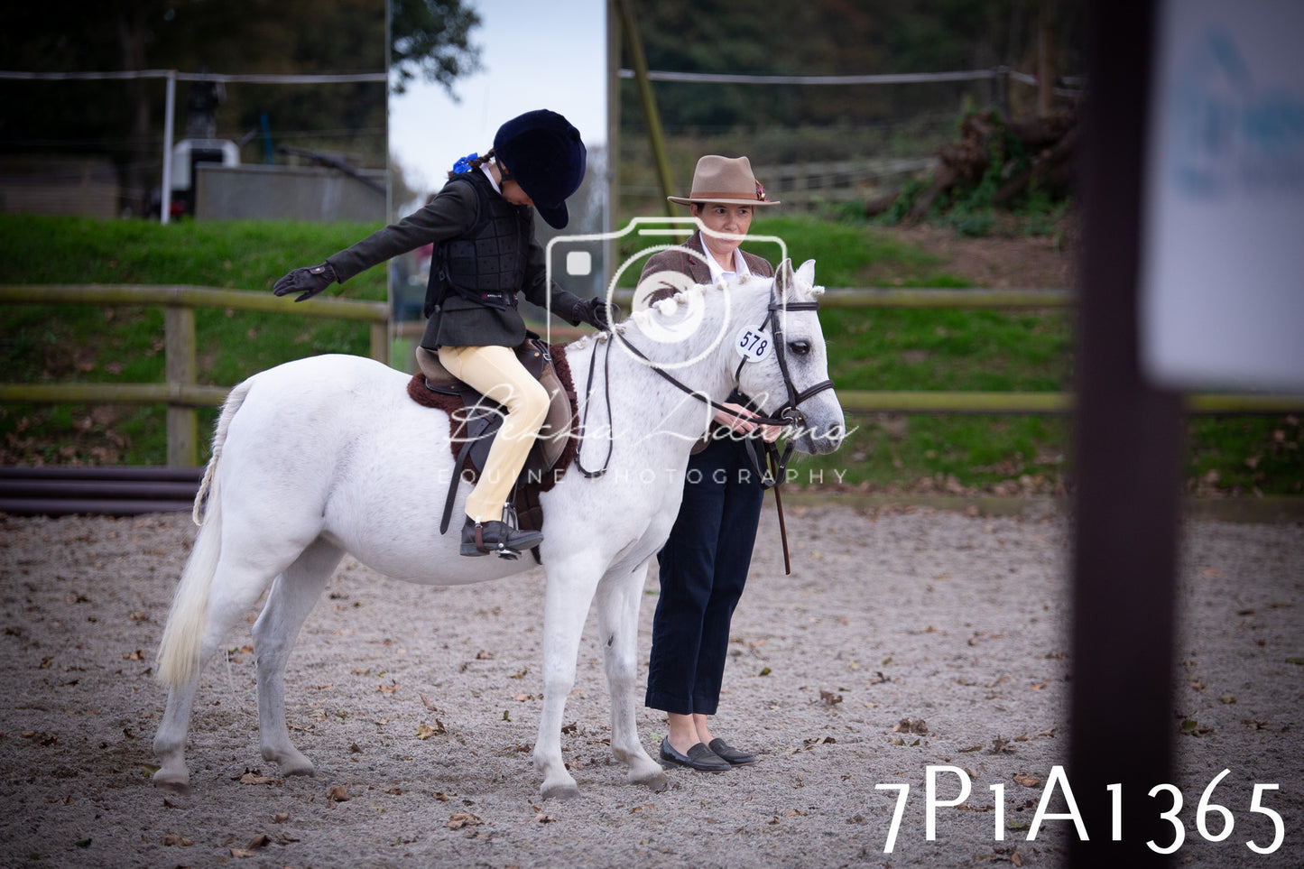 JHOYS 2025 - Showing - 27th September - Working Hunter