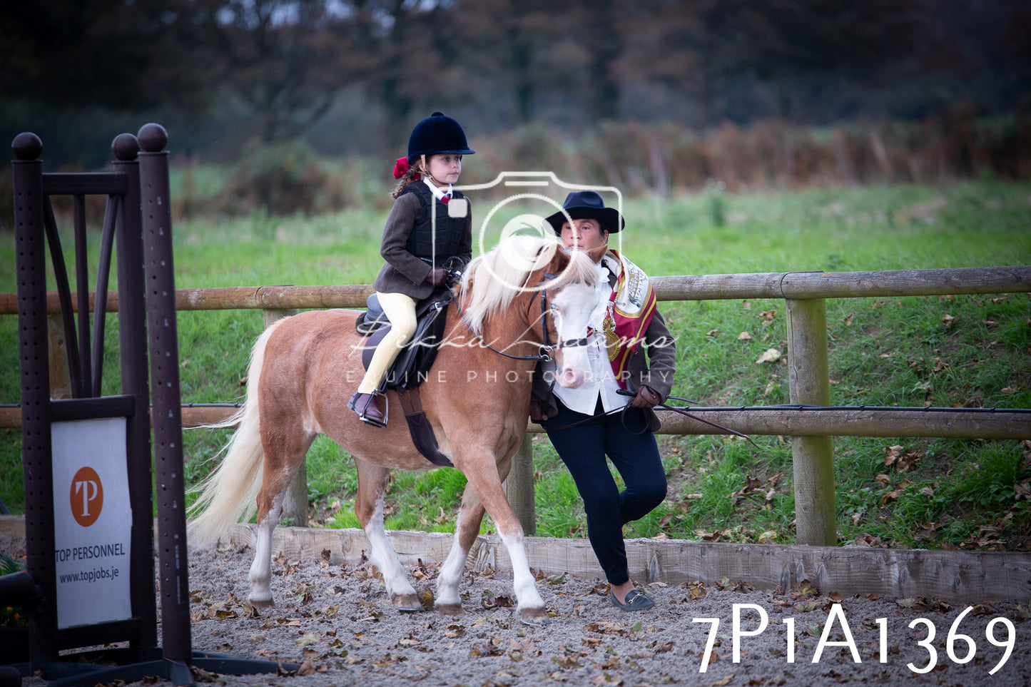 JHOYS 2025 - Showing - 27th September - Working Hunter