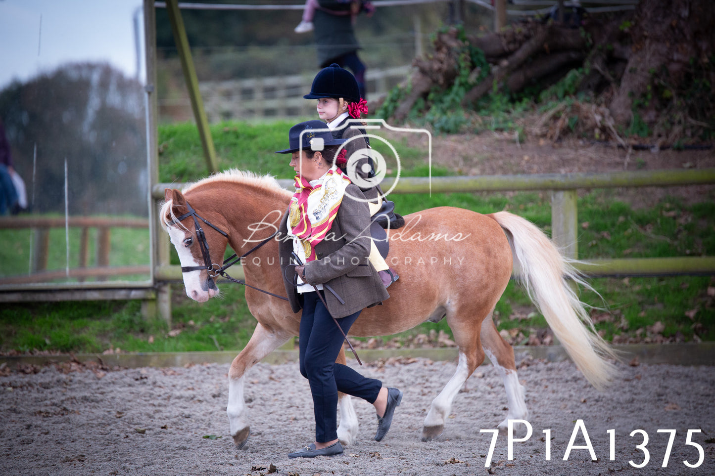 JHOYS 2025 - Showing - 27th September - Working Hunter