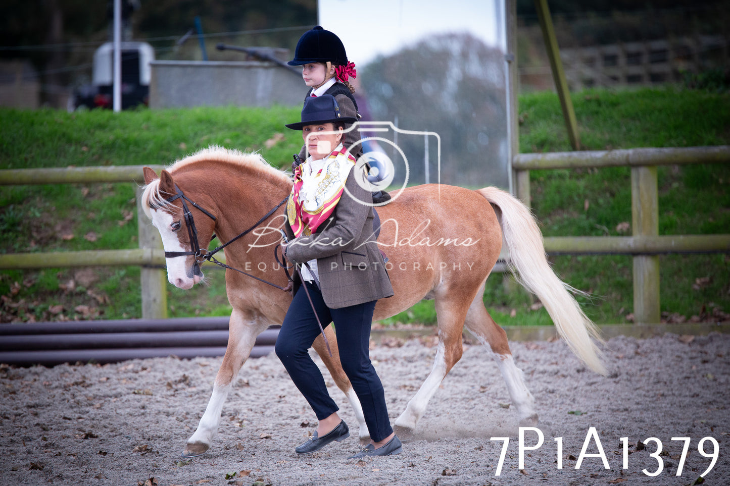JHOYS 2025 - Showing - 27th September - Working Hunter