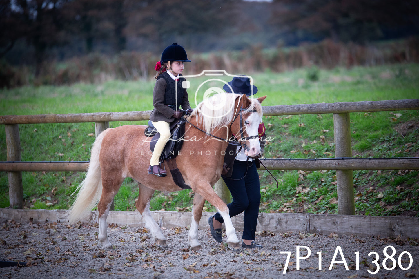 JHOYS 2025 - Showing - 27th September - Working Hunter