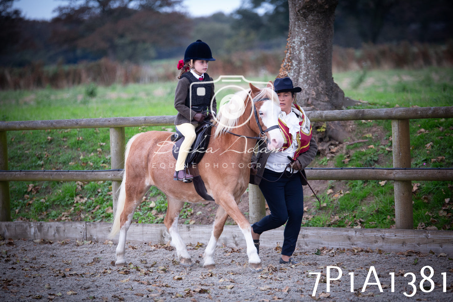 JHOYS 2025 - Showing - 27th September - Working Hunter