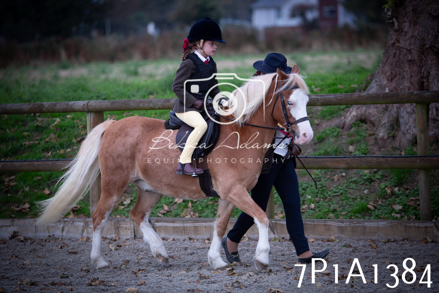 JHOYS 2025 - Showing - 27th September - Working Hunter