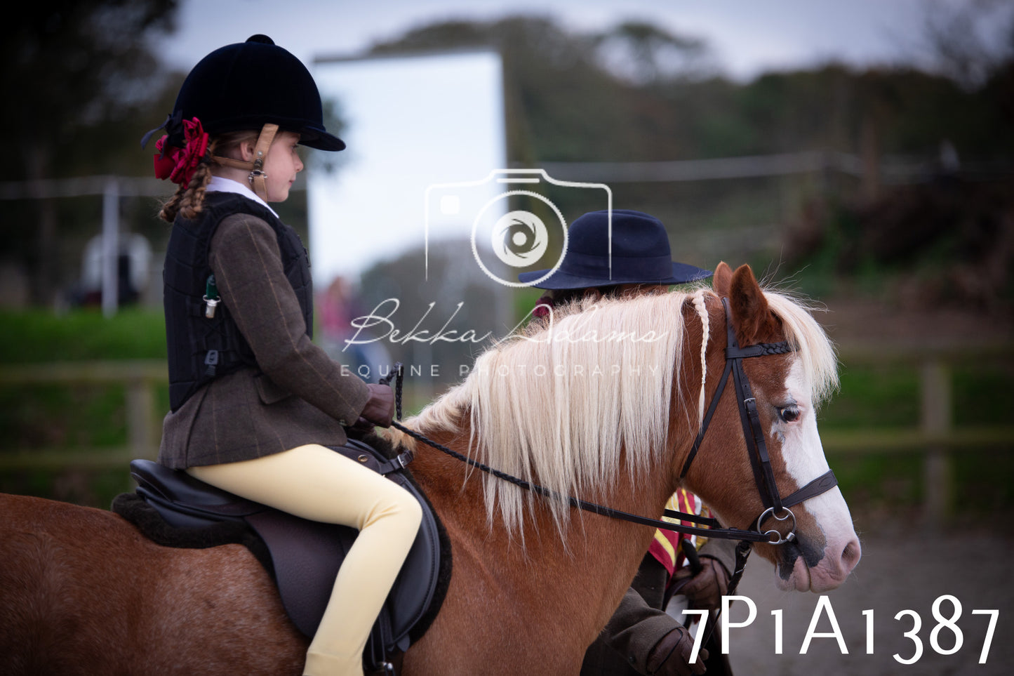 JHOYS 2025 - Showing - 27th September - Working Hunter