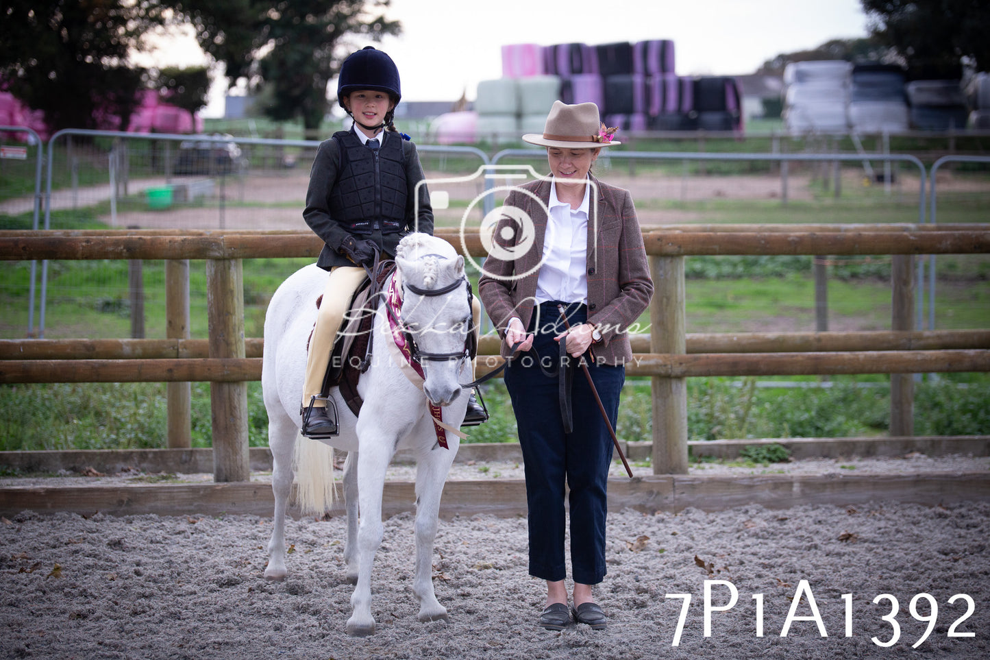 JHOYS 2025 - Showing - 27th September - Working Hunter