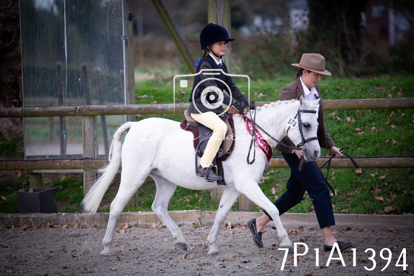 JHOYS 2025 - Showing - 27th September - Working Hunter