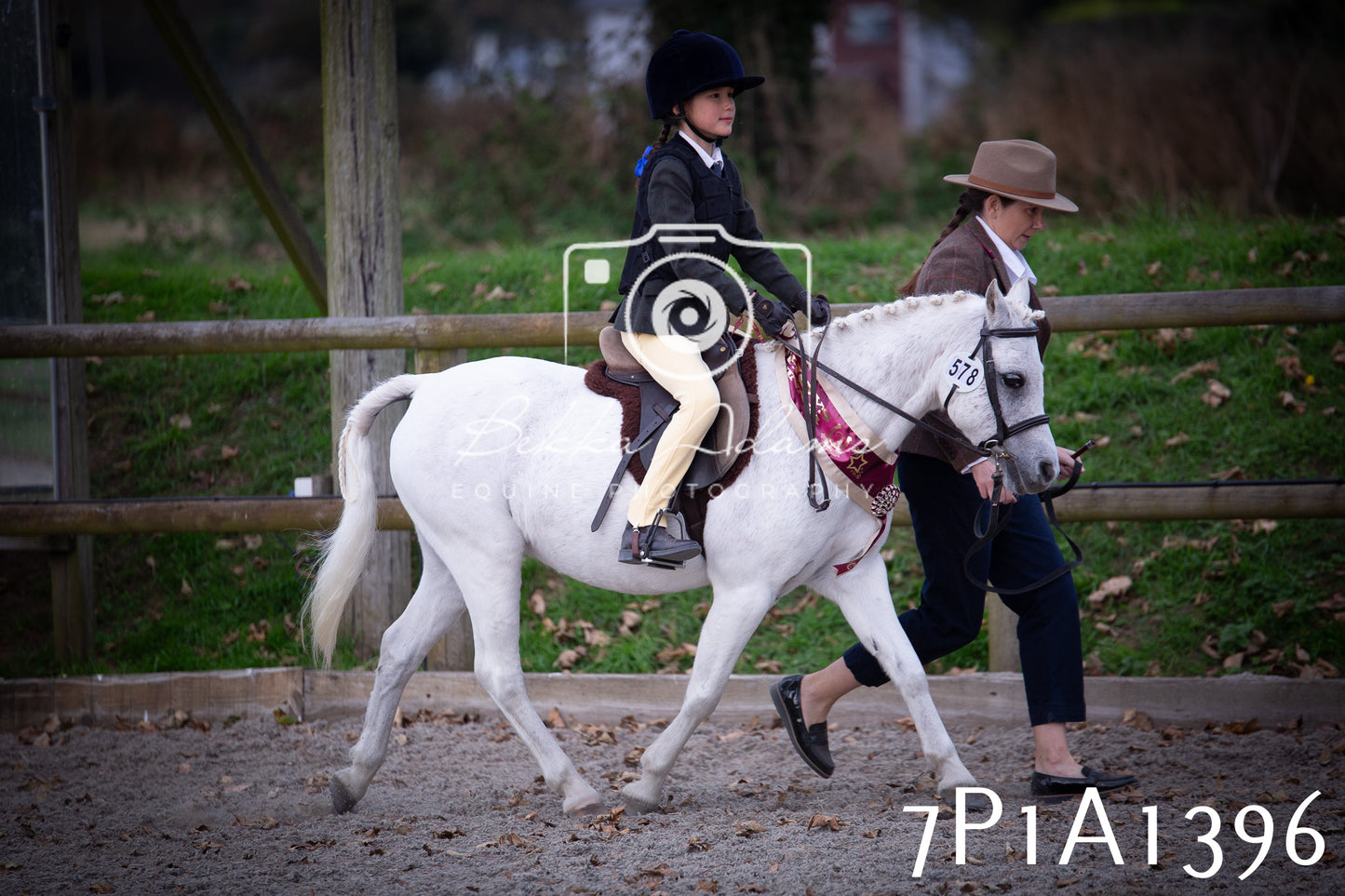 JHOYS 2025 - Showing - 27th September - Working Hunter