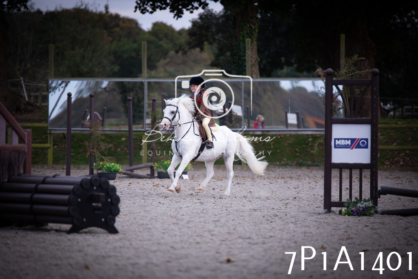 JHOYS 2025 - Showing - 27th September - Working Hunter