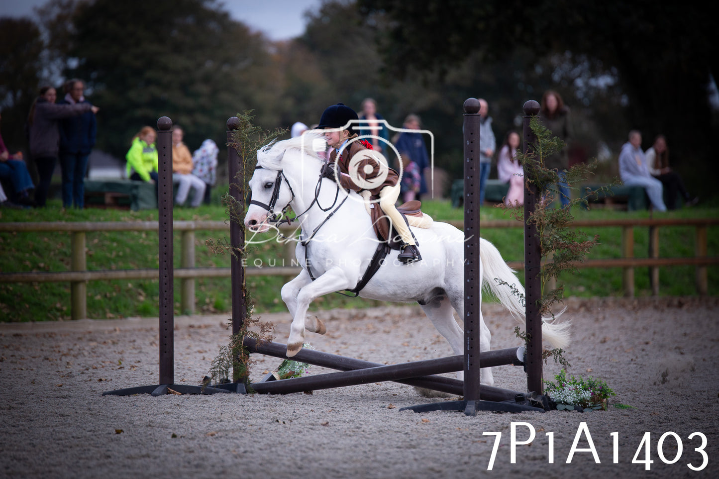 JHOYS 2025 - Showing - 27th September - Working Hunter