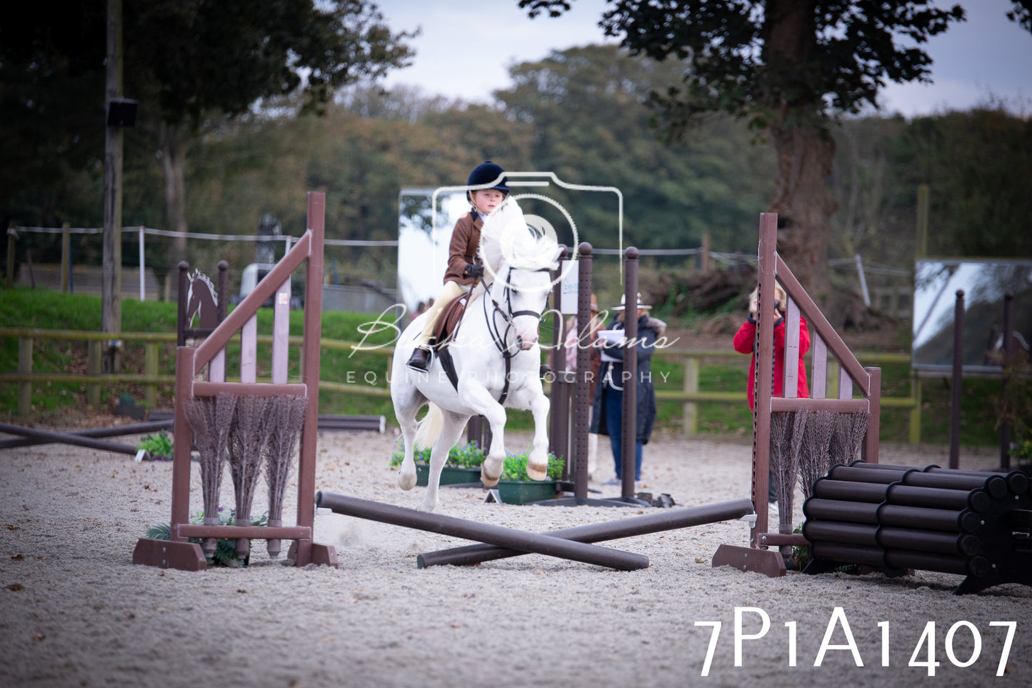 JHOYS 2025 - Showing - 27th September - Working Hunter