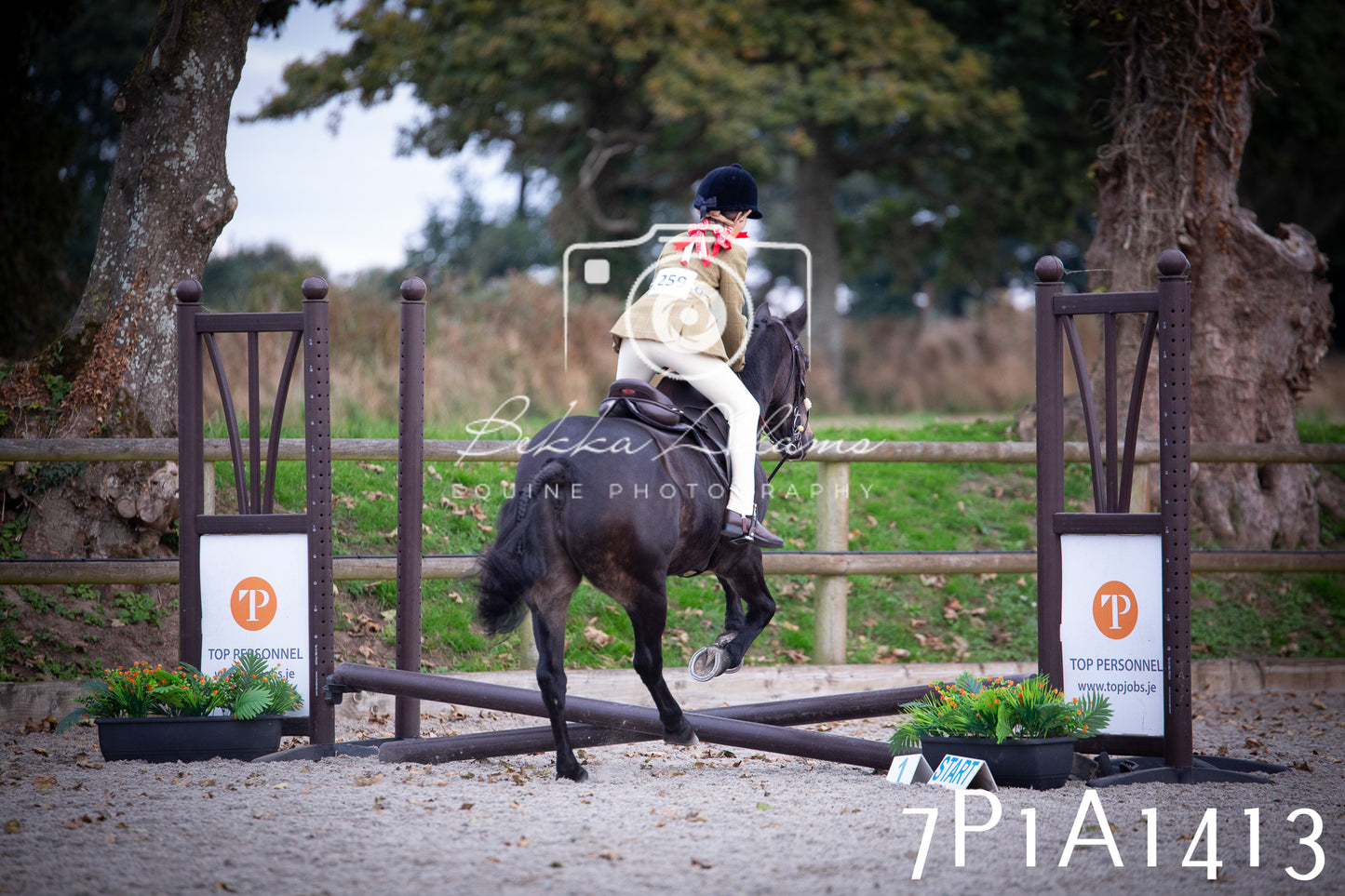 JHOYS 2025 - Showing - 27th September - Working Hunter