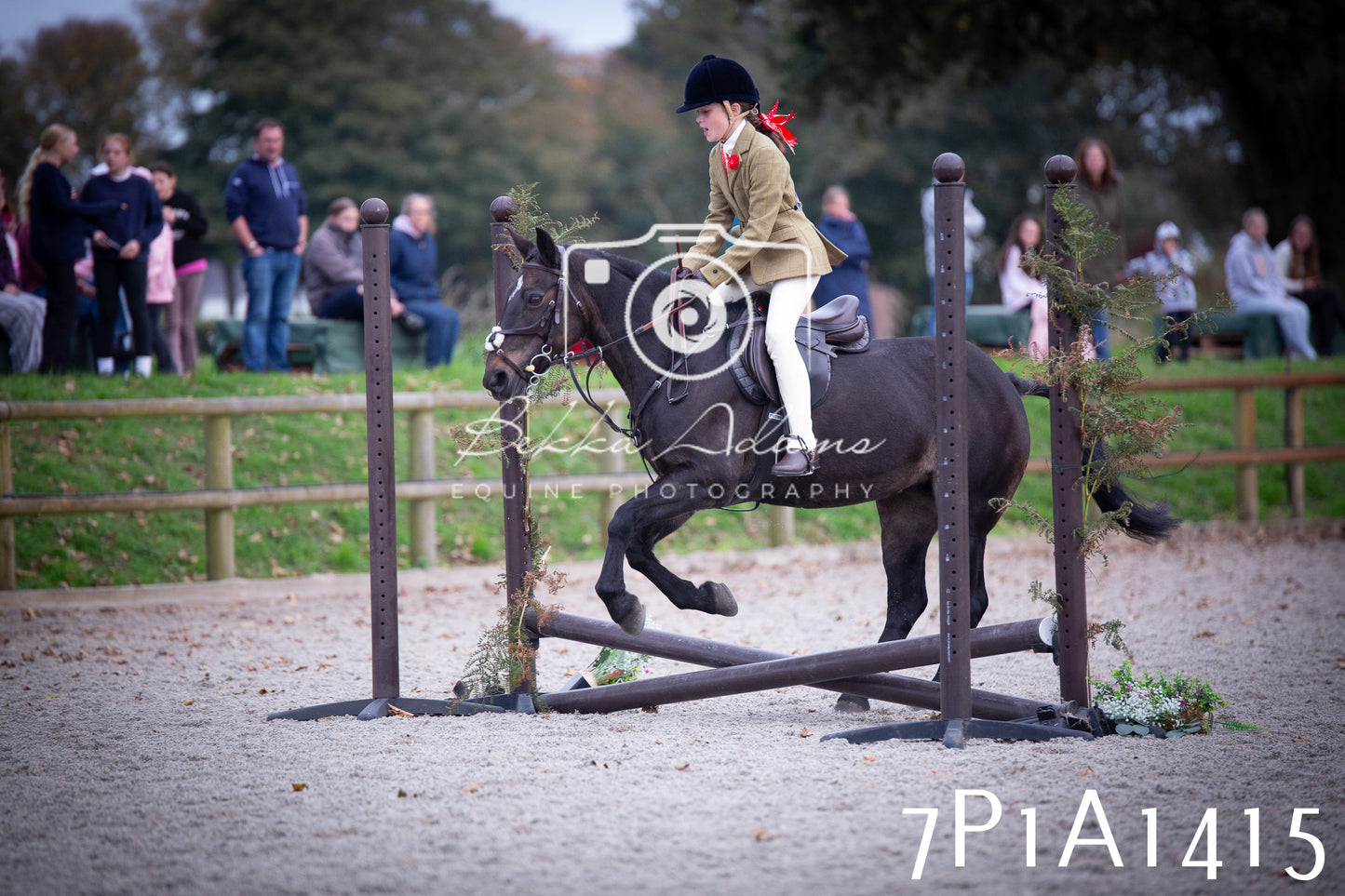 JHOYS 2025 - Showing - 27th September - Working Hunter