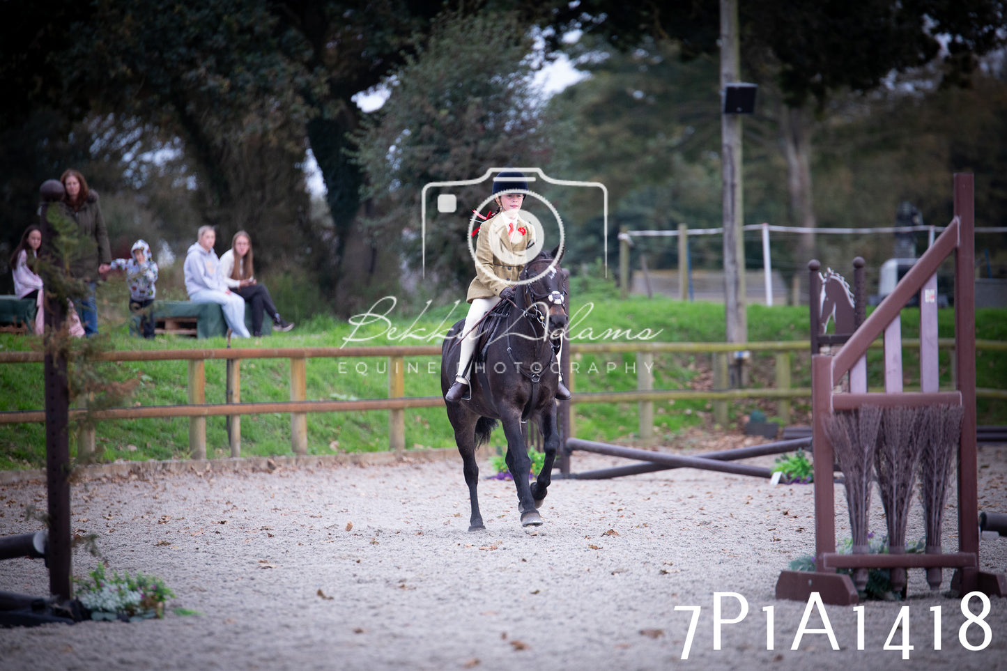 JHOYS 2025 - Showing - 27th September - Working Hunter