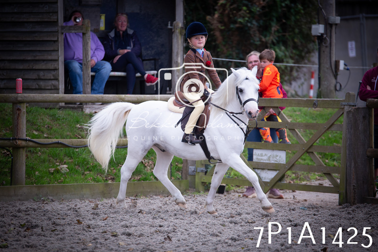 JHOYS 2025 - Showing - 27th September - Working Hunter