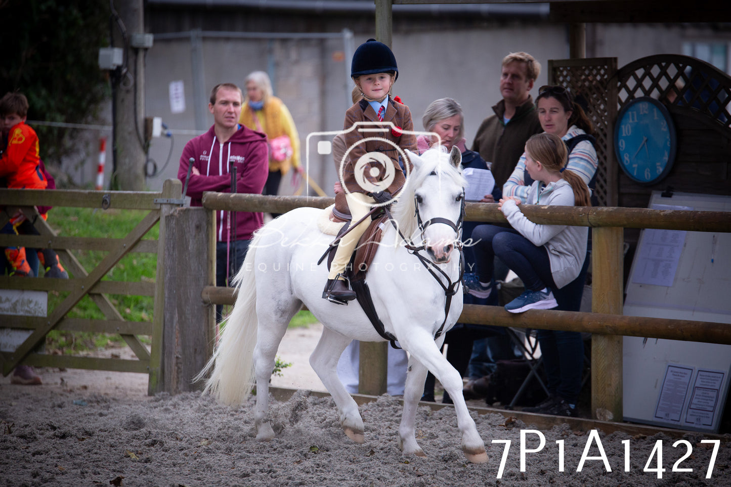 JHOYS 2025 - Showing - 27th September - Working Hunter