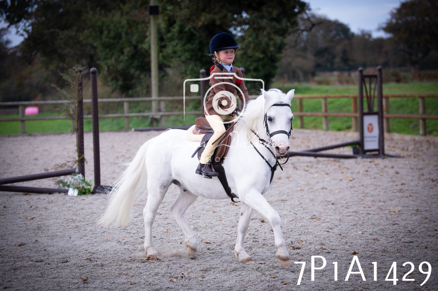 JHOYS 2025 - Showing - 27th September - Working Hunter