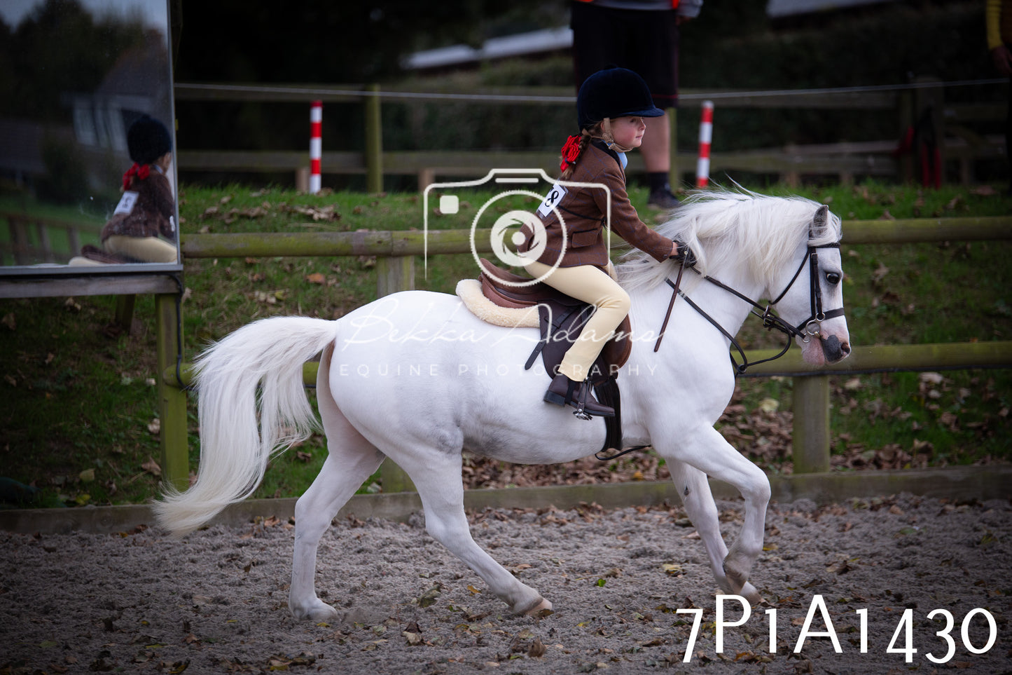 JHOYS 2025 - Showing - 27th September - Working Hunter