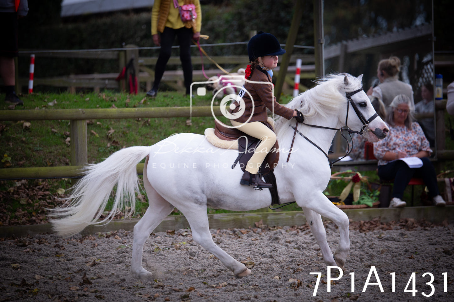 JHOYS 2025 - Showing - 27th September - Working Hunter