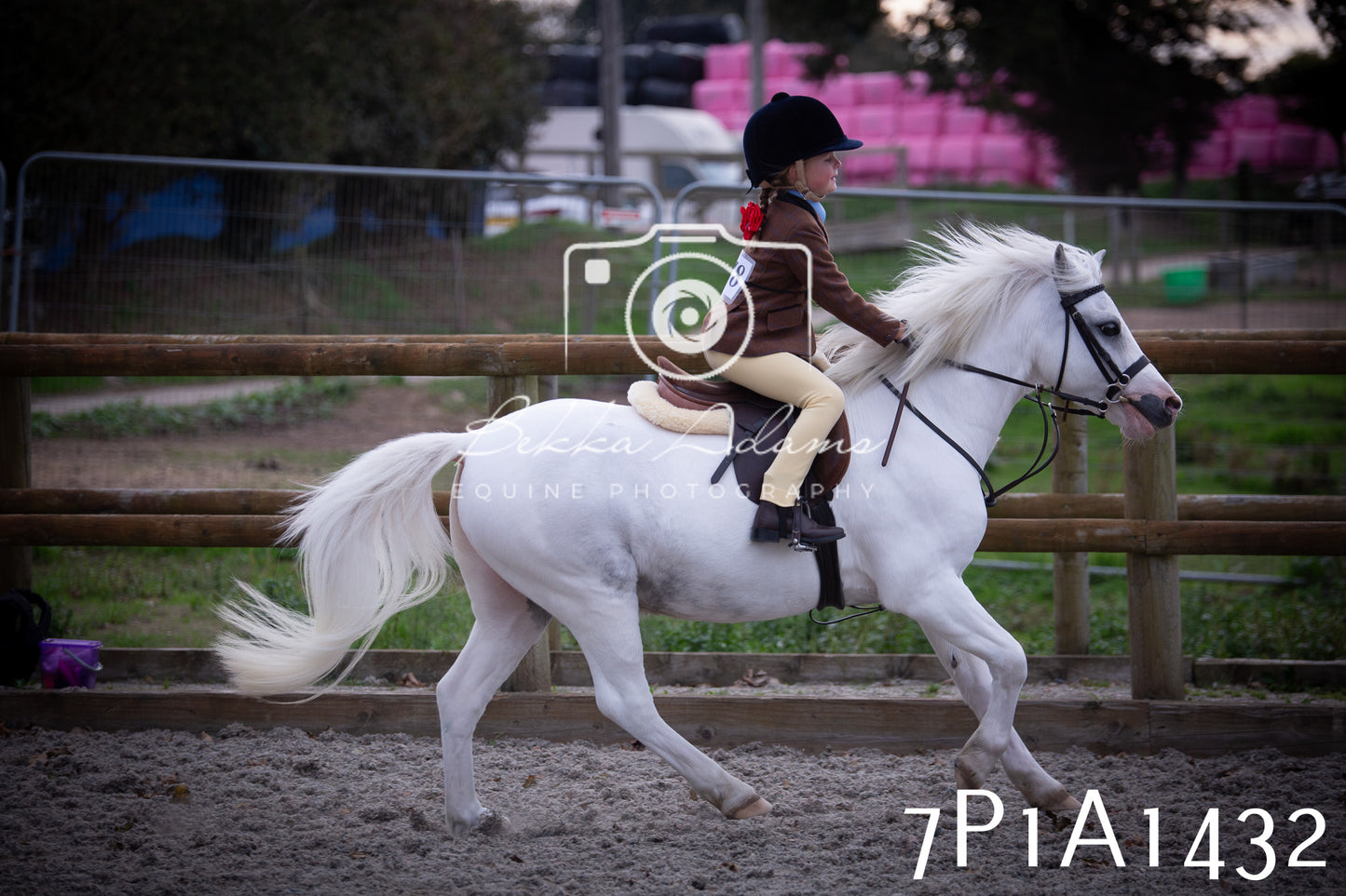 JHOYS 2025 - Showing - 27th September - Working Hunter